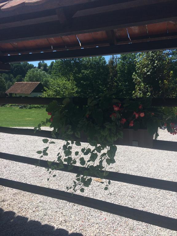Gostisce Smuk Križe Exterior foto